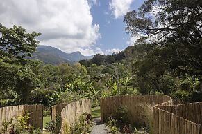 Sazagua Reserva Natural Cocora