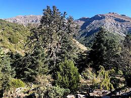 Nomadara - Boutique B&B