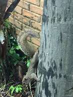 Pousada Solar dos Sonhos