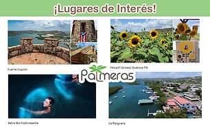 Palmeras Beach Apartments