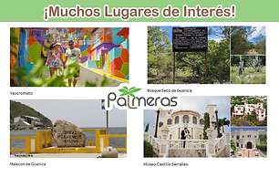 Palmeras Beach Apartments