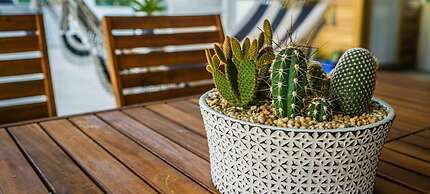 Palmeras Beach Apartments