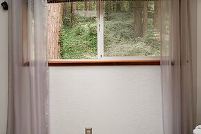 Pacific Coast Redwoods Cabin for Family