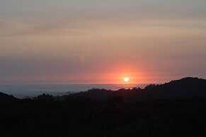 Pacific Coast Redwoods Cabin for Family