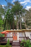 Pacific Coast Redwoods Cabin for Family
