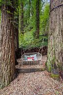 Pacific Coast Redwoods Cabin for Family