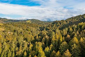 Pacific Coast Redwoods Cabin for Family