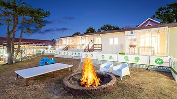 Jeju Dangdangi Dog Pension Black