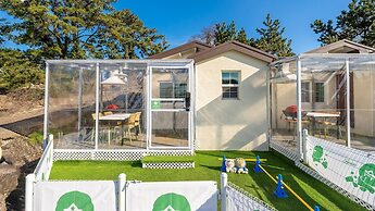 Jeju Dangdangi Dog Pension Black