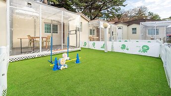 Jeju Dangdangi Dog Pension Black