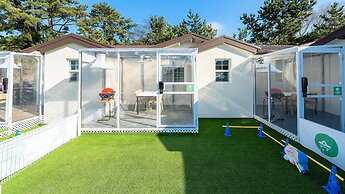 Jeju Dangdangi Dog Pension Black