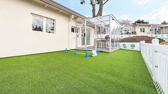 Jeju Dangdangi Dog Pension Black