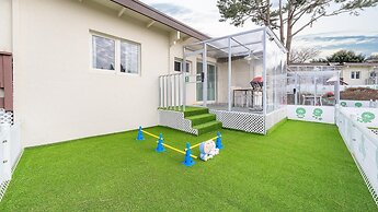 Jeju Dangdangi Dog Pension Black