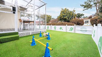 Jeju Dangdangi Dog Pension Black