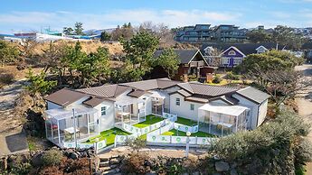 Jeju Dangdangi Dog Pension Black