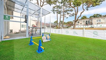 Jeju Dangdangi Dog Pension Black