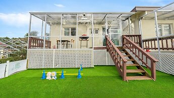 Jeju Dangdangi Dog Pension Black