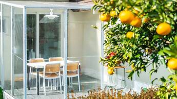 Jeju Dangdangi Dog Pension Black