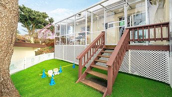 Jeju Dangdangi Dog Pension Black