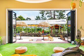 Jeju Dangdangi Dog Pension Black