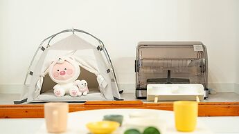 Jeju Dangdangi Dog Pension Black