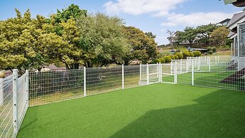 Jeju Dangdangi Dog Pension Black