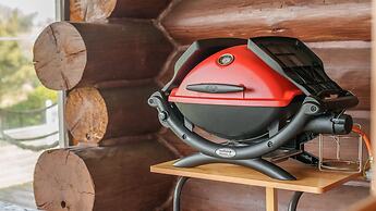 Jeju Dangdangi Dog Pension Black