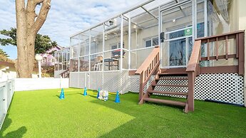 Jeju Dangdangi Dog Pension Black