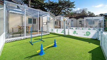 Jeju Dangdangi Dog Pension Black