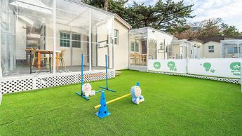 Jeju Dangdangi Dog Pension Black