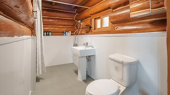 Jeju Dangdangi Dog Pension Black