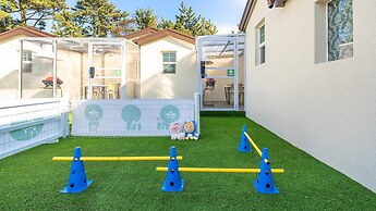 Jeju Dangdangi Dog Pension Black