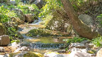 Gapyeong Camp With pet & Aegyeonglamping