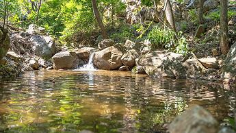 Gapyeong Camp With pet & Aegyeonglamping