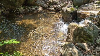 Gapyeong Camp With pet & Aegyeonglamping