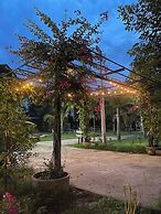 Morocco blue cafe by chilong river farm