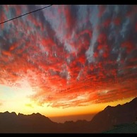 Hotel Mount View Shimla