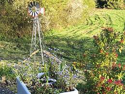 Lovely Shepherds hut in Cornwall