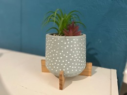 Balham Double Deluxe Room 4