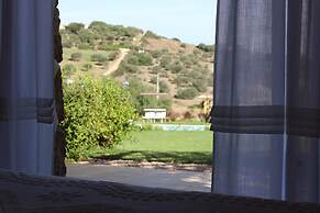 Albero Capovolto Country & Sea