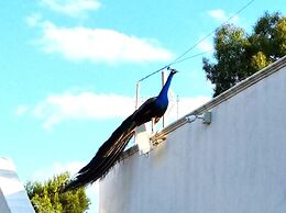 Villa Laura, Complete and Modern Furnishings, a Green Oasis by the Cit