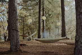 The Dell of Abernethy