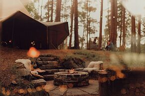 The Dell of Abernethy