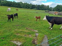 3 Bed Farmhouse - Sleeps 6 - Wifi - Free Parking