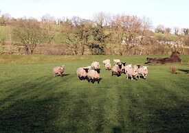 Farmhouse Near Newtownstewart 3 Bedrooms