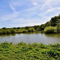 Carpenters Lodge the Perfect dog Friendly Retreat
