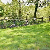 Carpenters Lodge the Perfect dog Friendly Retreat