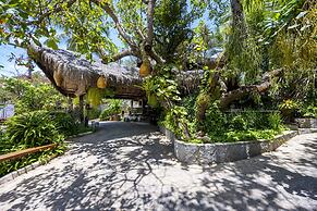 Hotel Sombra e Água Fresca