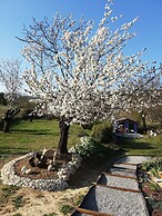 Le mas de la diligence