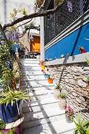 Living Like in a Cottage in the Center of Athens